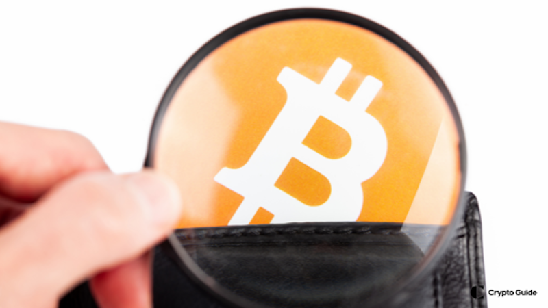 hvordan velge en kryptovaluta-lommebok