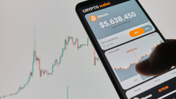 De 12 beste kryptolommebøkene i Januar 2026